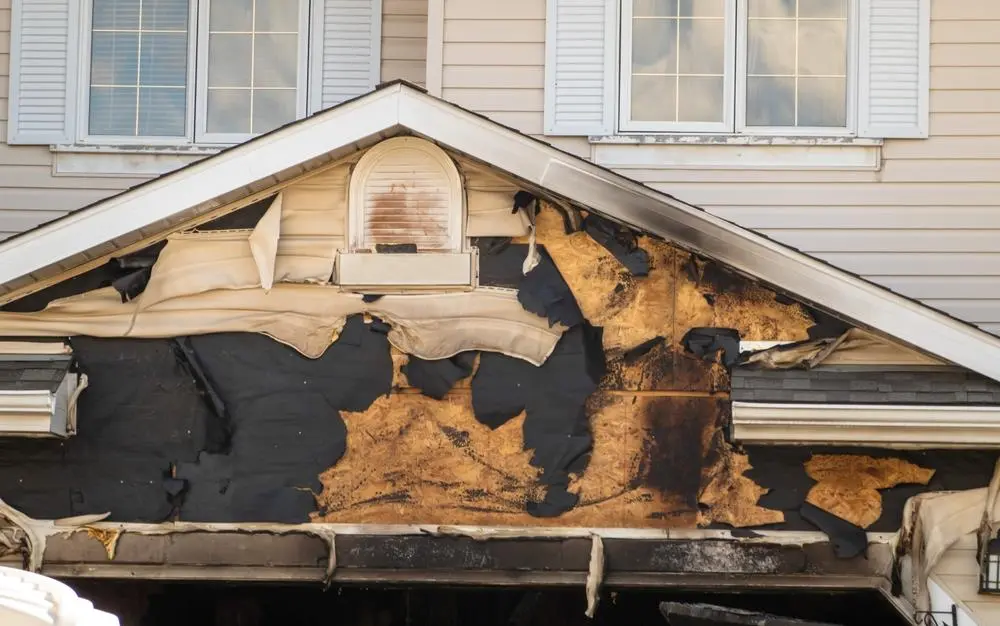disaster restoration - 3